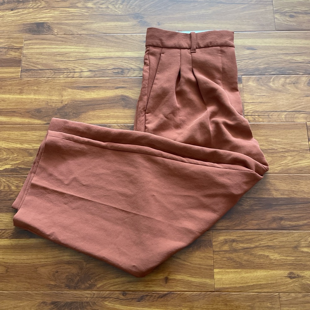 Aritzia Brown Chinos High-Waisted Pleated
